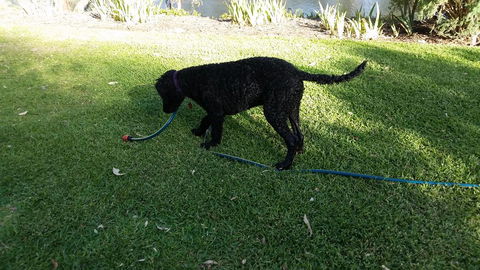 Captain's Cottage Bed & Breakfast - Accommodation Kalgoorlie 1