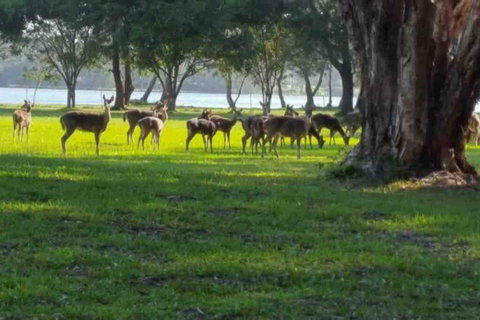 Chateau Le Marais - Accommodation Kalgoorlie 2