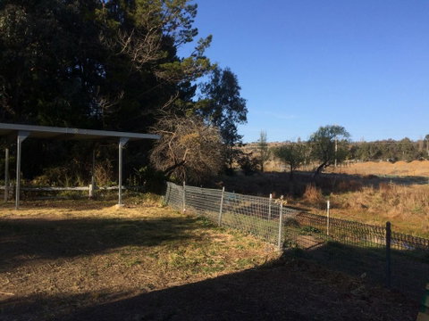 Cockatoo Corner - Armidale - Accommodation Kalgoorlie 1