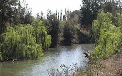 Colonial Inn Motel - Accommodation Kalgoorlie 3