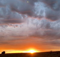 creative 3D sculpture share - Accommodation Kalgoorlie