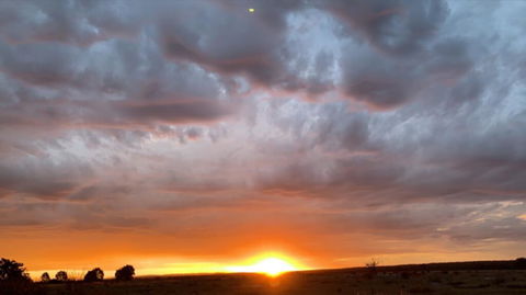 Creative 3D Sculpture Share - Accommodation Kalgoorlie 0