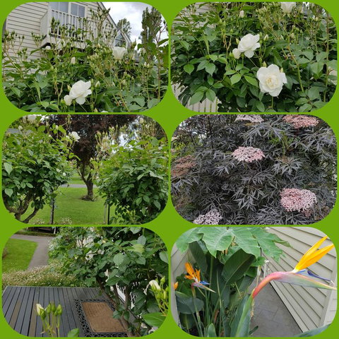 Creek Cottage Bed And Breakfast - Accommodation Kalgoorlie 3