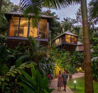 Daintree Ecolodge - Accommodation Kalgoorlie