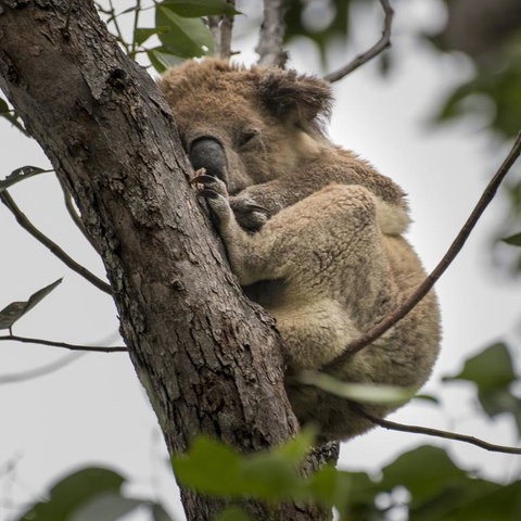 Diamond Waters Caravan Park - Accommodation Kalgoorlie 3