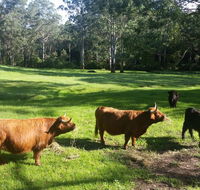 Dingley Dell - Accommodation Kalgoorlie