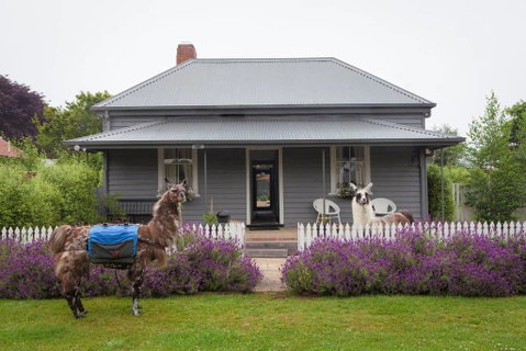 Domino House - Accommodation Kalgoorlie 0