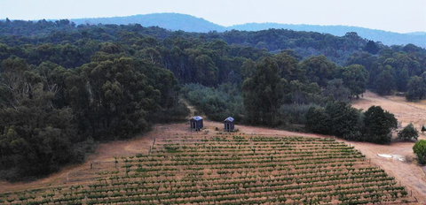 Double Oaks Tiny House - Accommodation Kalgoorlie 0