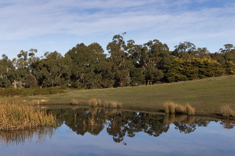 Double Oaks Tiny House - Accommodation Kalgoorlie 1