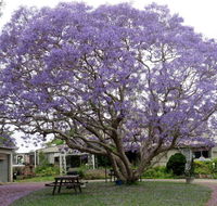 Ecotel Narooma - Accommodation Kalgoorlie