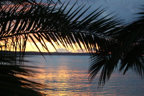 Edgewater Gardens Batemans Bay - Accommodation Kalgoorlie 3