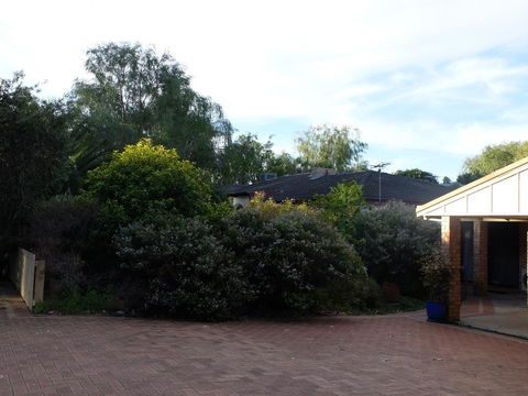 Esperance Seafront Holiday Units - Accommodation Kalgoorlie 3