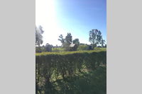 Book Benalla Accommodation Vacations Accommodation Kalgoorlie Accommodation Kalgoorlie