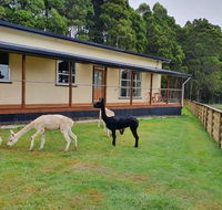 Farm Stay Lowana Strahan - Accommodation Kalgoorlie