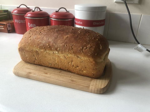 Frenchs Forest Bed And Breakfast - Accommodation Kalgoorlie 1