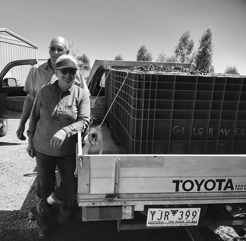 Gilgraves Vineyard Farmstay - Accommodation Kalgoorlie 2