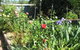 Goat Square Cottages - thumb 2