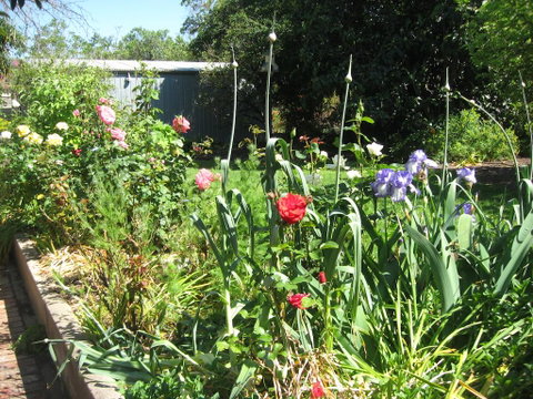 Goat Square Cottages - Accommodation Kalgoorlie 2