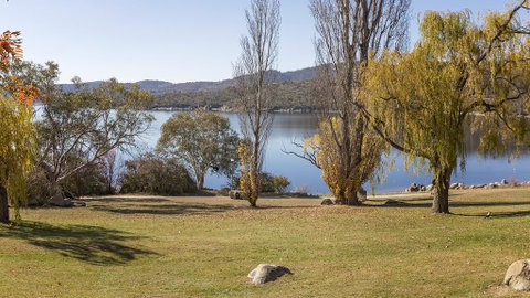 Grey Kangaroo- On Lake Jindabyne Foreshore - Accommodation Kalgoorlie 1