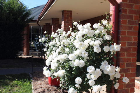 Gundaroo Manor Bed & Breakfast - Accommodation Kalgoorlie 3