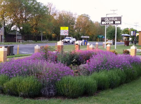 Guyra Motor Inn - Accommodation Kalgoorlie 1