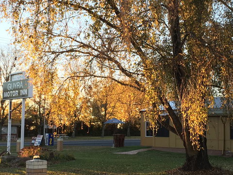 Guyra Motor Inn - Accommodation Kalgoorlie 2