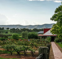 Hanging Tree Wines - Accommodation Kalgoorlie