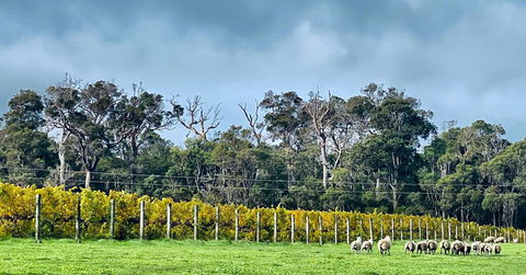 Harmony Forest Cottages & Lake Side Lodge - Accommodation Kalgoorlie 1