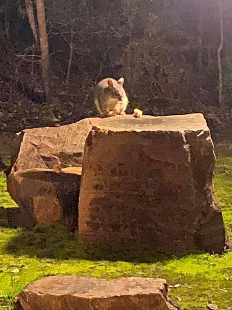 Harmony Forest Cottages & Lake Side Lodge - Accommodation Kalgoorlie 3