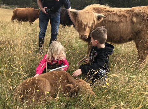 Highland Getaway - Accommodation Kalgoorlie 3