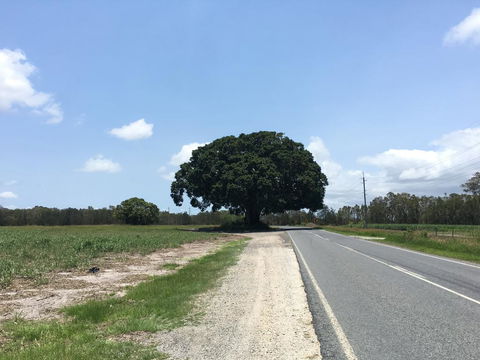 Jacobbs Well - Accommodation Kalgoorlie 1