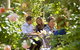 Jacobs Creek Retreat At Moorooroo Park - thumb 3