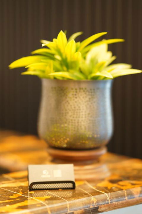 Jephson Hotel & Apartments - Accommodation Kalgoorlie 3