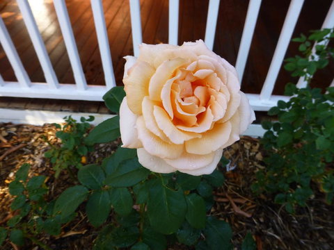 Lakeside Bed & Breakfast - Accommodation Kalgoorlie 2