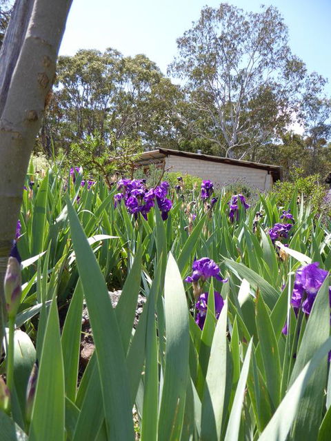 Lakeside Lodge Armidale - Accommodation Kalgoorlie 3