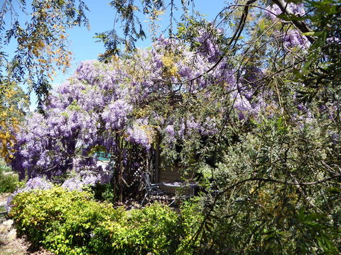 Lakeside Lodge Armidale - Accommodation Kalgoorlie 1