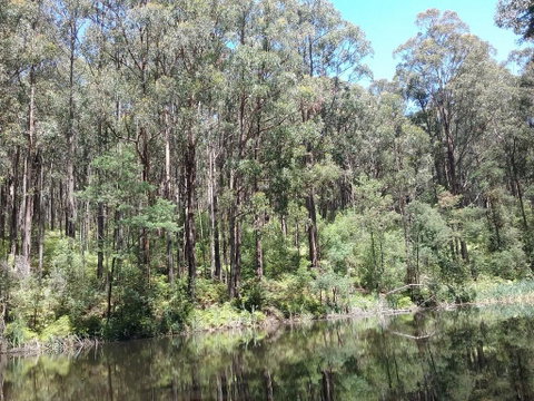 Lyrebird Gully Retreat - Accommodation Kalgoorlie 2