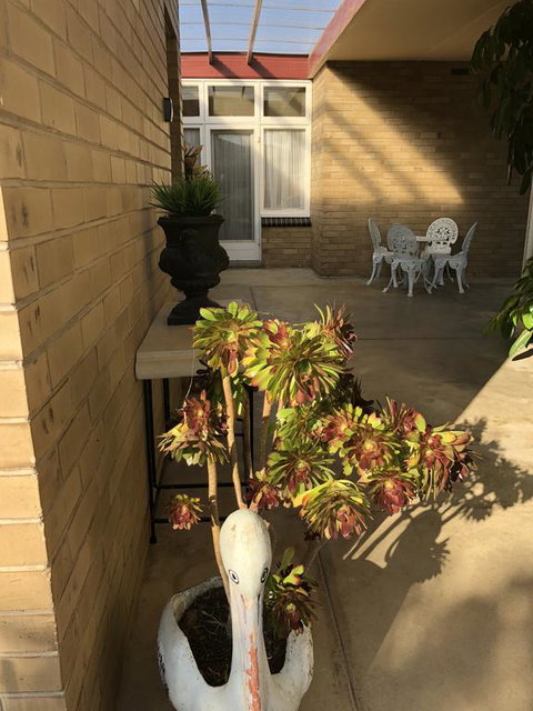 Maudie Bells - Accommodation Kalgoorlie 2