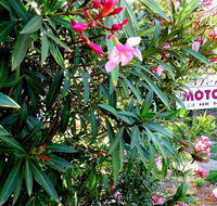 Mercury motor inn - Accommodation Kalgoorlie