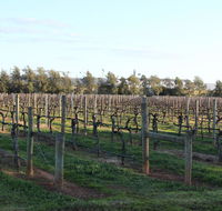 Milawa Vineyard Views - Guesthouse 2 - Accommodation Kalgoorlie