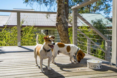 Monigatti - Accommodation Kalgoorlie 3