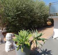 Mt.Lawley superb 2 BR Apartment Ideally located 5 - Accommodation Kalgoorlie