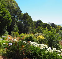 Murrindindi - Accommodation Kalgoorlie