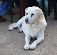 Nazaaray Beach House - Accommodation Kalgoorlie