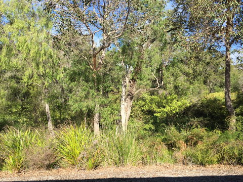 Cape Villas Dunsborough Unit 2 - Accommodation Kalgoorlie 26