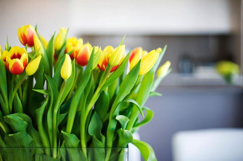 Claremont Quarter Luxury Apartment - Accommodation Kalgoorlie 11