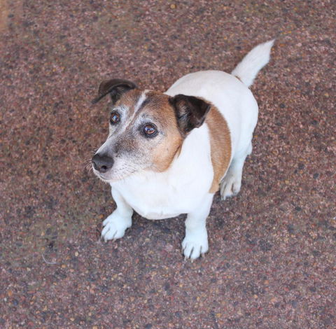 Jacaranda Hideaway Bed & Breakfast - Accommodation Kalgoorlie 13