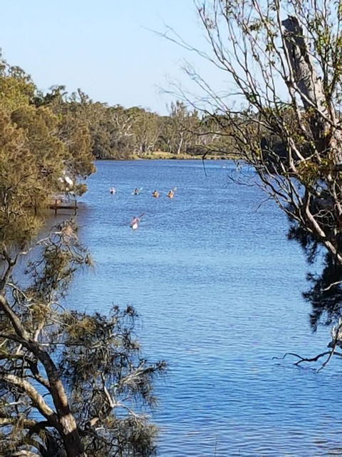 Jacaranda Hideaway Bed & Breakfast - Accommodation Kalgoorlie 19