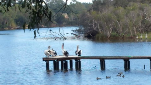 Jacaranda Hideaway Bed & Breakfast - Accommodation Kalgoorlie 18