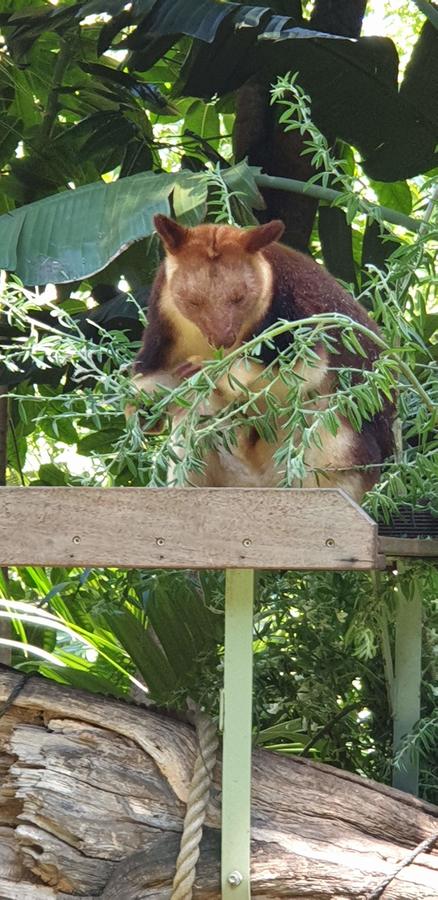 High Tor - Accommodation Kalgoorlie 30